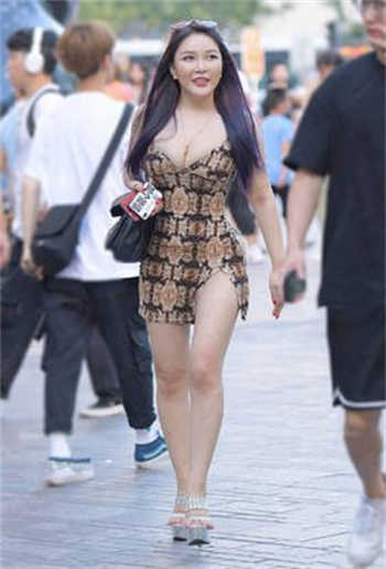 卧龙wl88