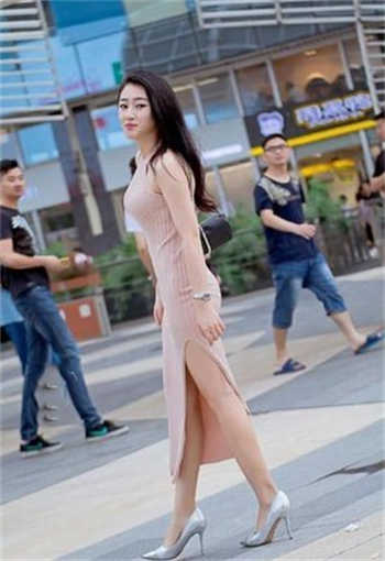 免费大象回家视频一至六