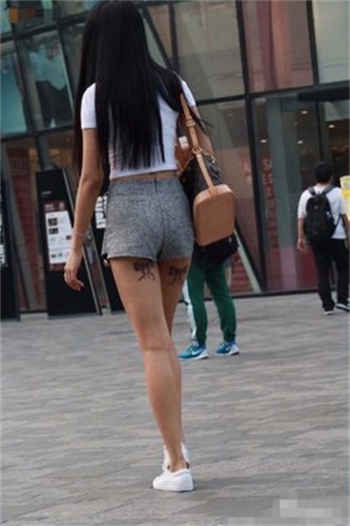 兔子先生娱乐