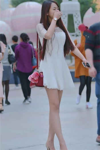 天津西青大学成教鸡群
