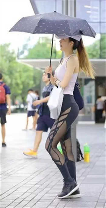 沈蔓歌叶南弦 完整版小说